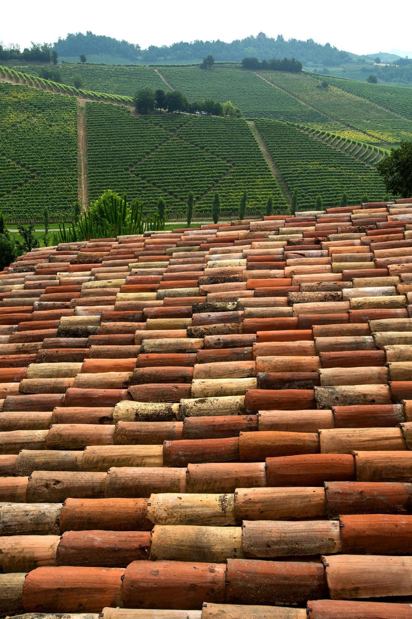 Relais Di Tenuta Santa Caterina B&B Grazzano Badoglio Δωμάτιο φωτογραφία
